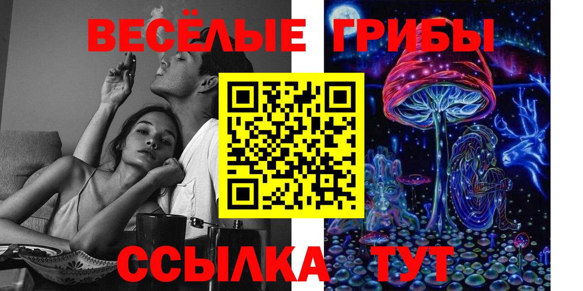 хочу наркоту  Вход с VPN  Чайковский  Псилоцибиновые грибы прущие грибы 